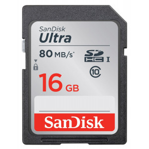 16 GB SANDISK SDHC CLASS 10 (SDSDUNC-016G-GN6IN)