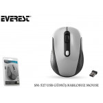 EVEREST SM-527 USB GUMUS KABLOSUZ MOUSE