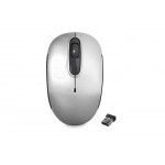 EVEREST SMW-666 USB GUMUS 2.4 GHz OPTIK KABLOSUZ MOUSE