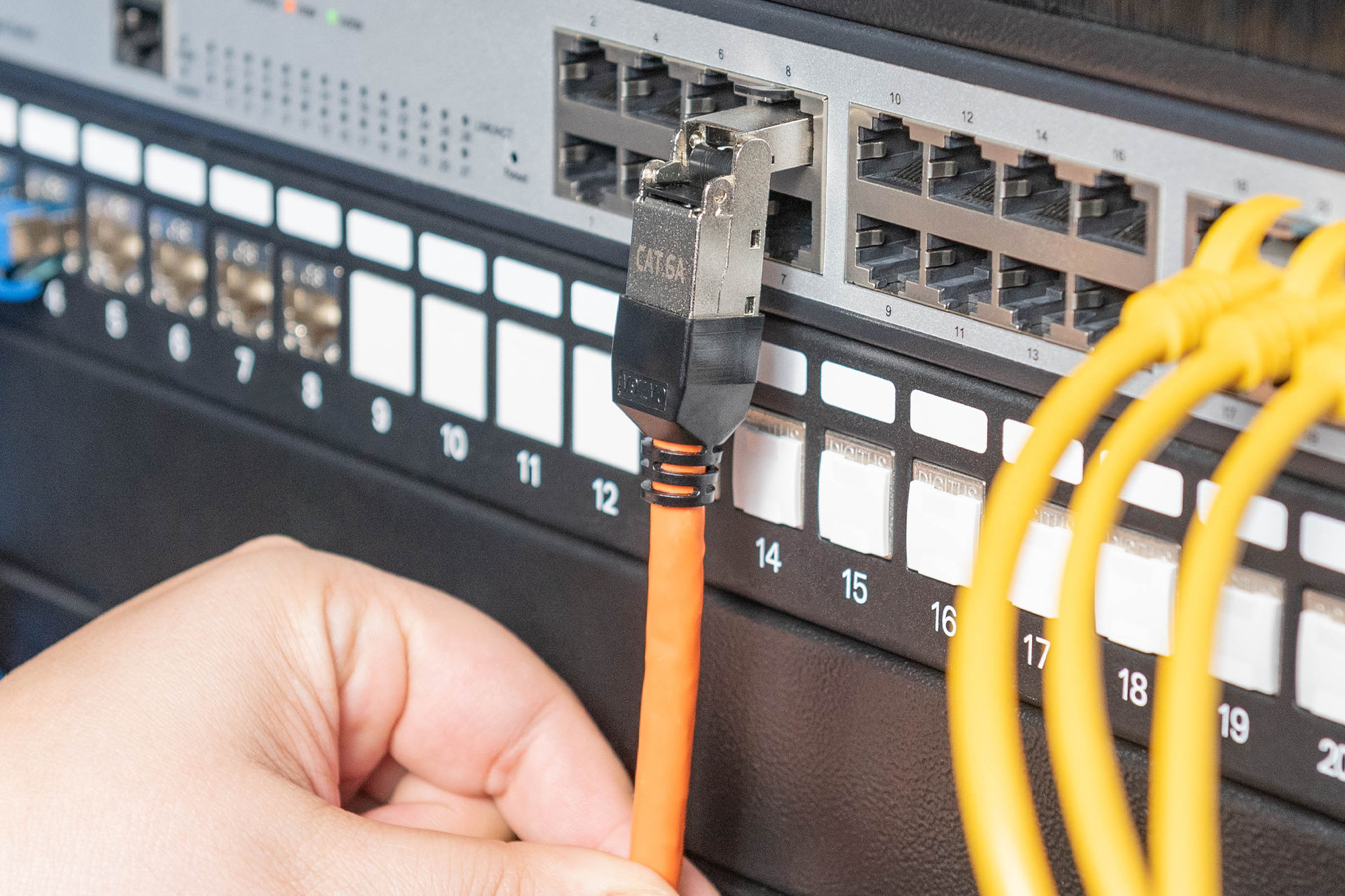 Digitus DN-93636 AWG 22-27 katı ve çok telli kablo için uygundur - görsel 7