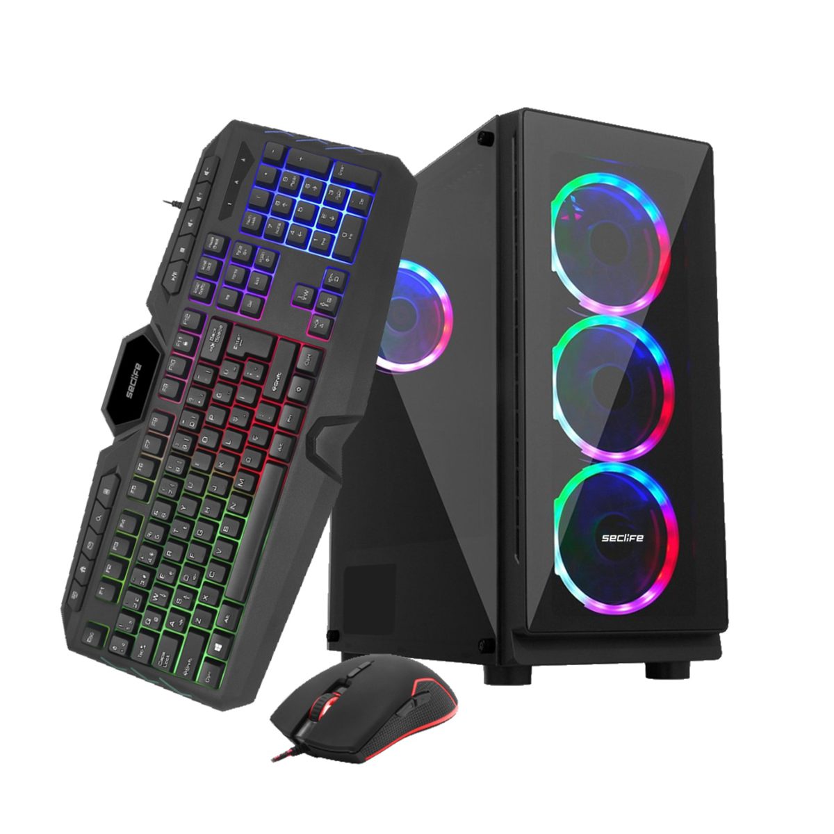 Seclife GM-A554 Ryzen 5500 16GB 500GB SSD 8GBVGA Dos Oyuncu Pc