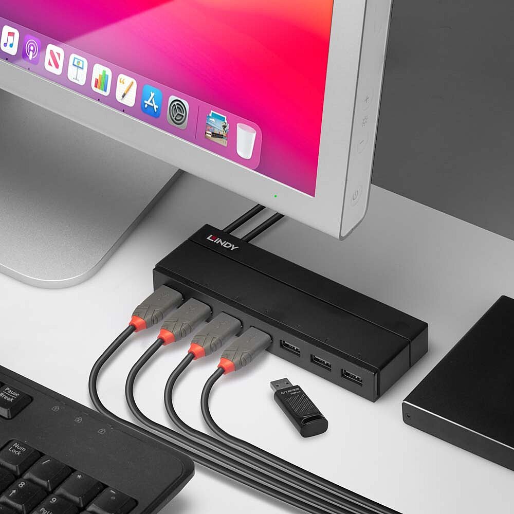 Lindy LIN-43228 7 Port USB 3.1 Hub